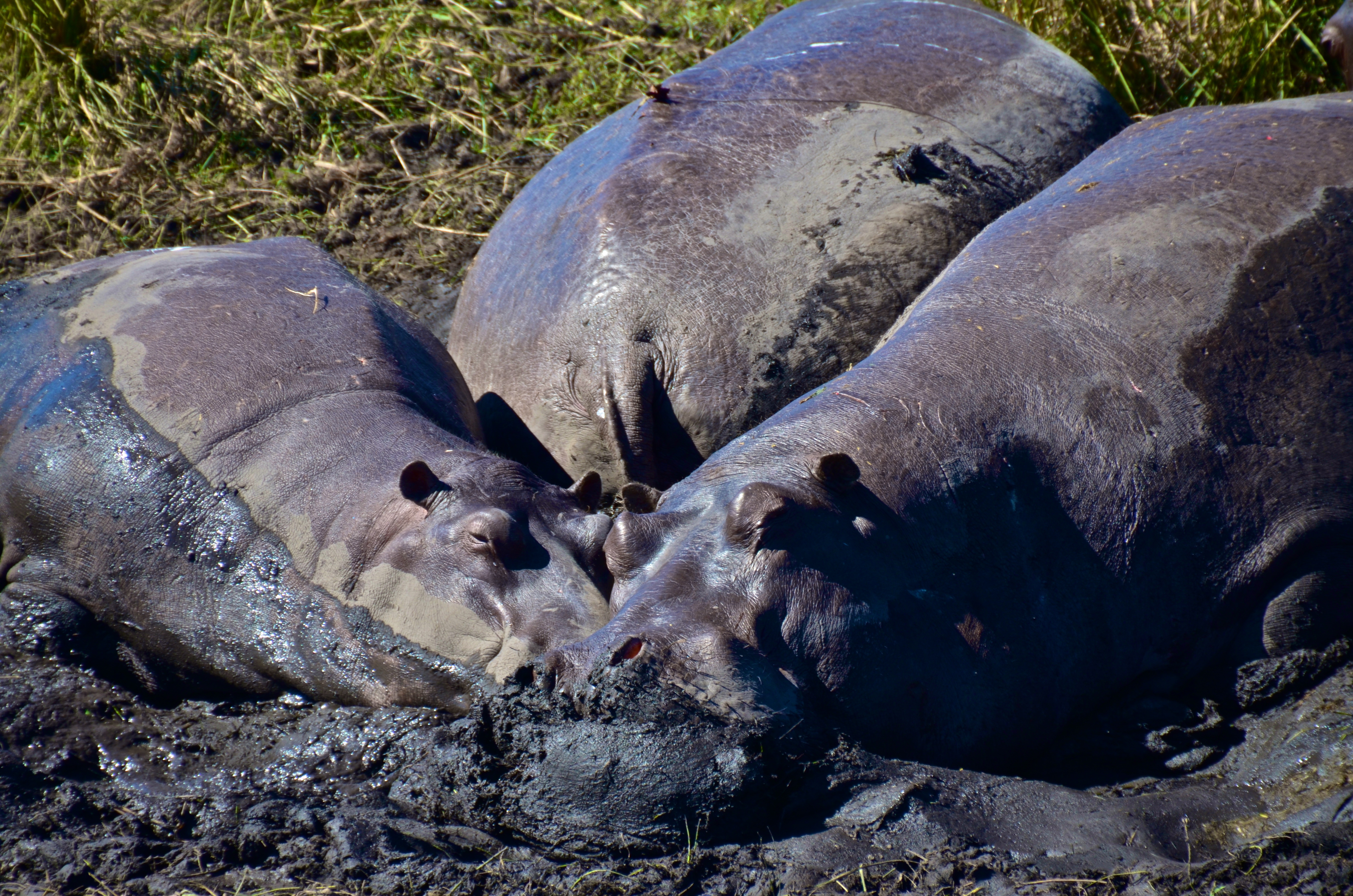 Epic game experience