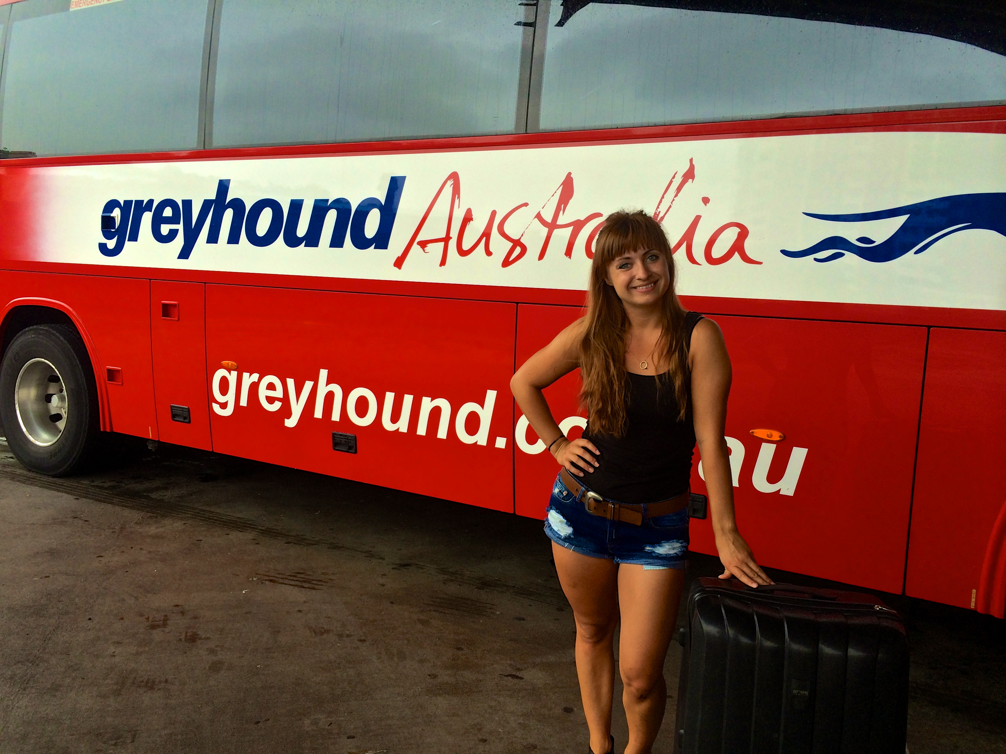 Greyhound Australia