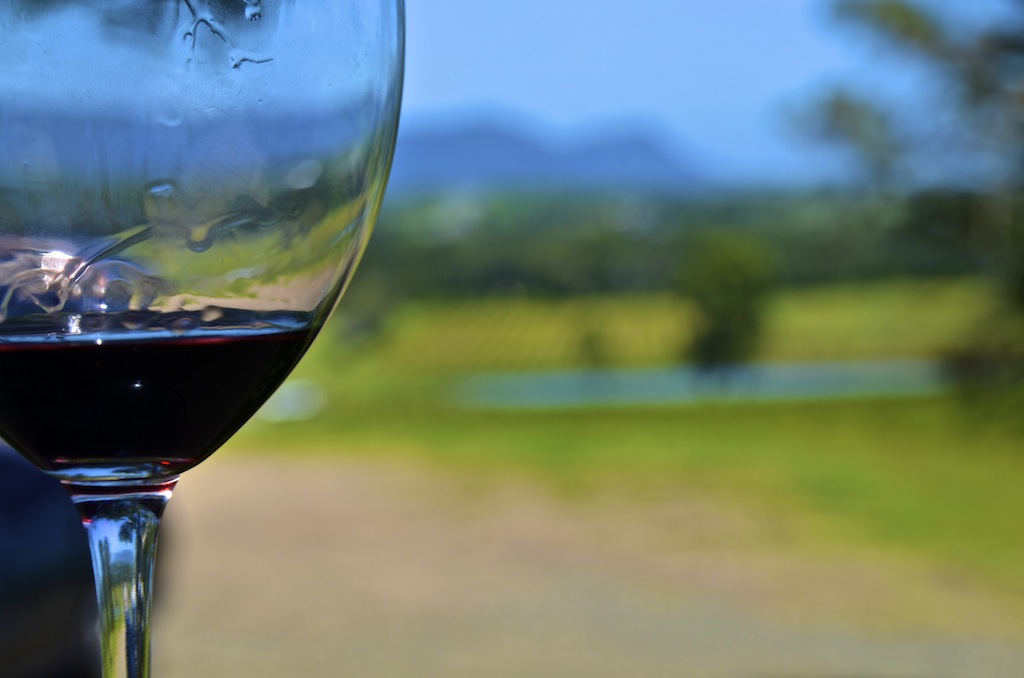 Дегустация вина в HUNTER VALLY